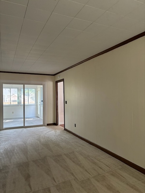 Gallery Photo 16